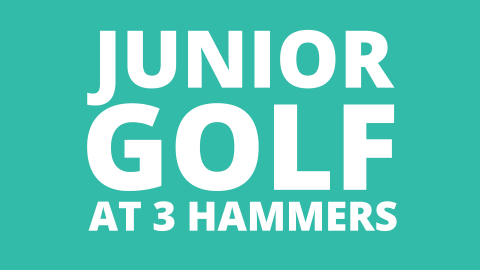 hammer golf club reviews